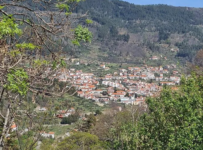 Дом отдыха Glaciar *